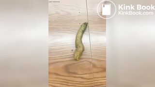 Horny Student Shits After Class