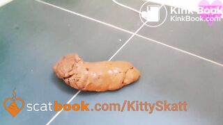 Massive squatting shit falls off toilet!