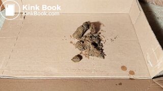 heavy reinforced toe brown nylon got dog shittede