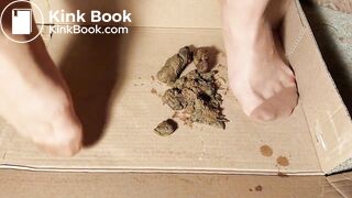 heavy reinforced toe brown nylon got dog shittede