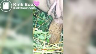 Public outdoor festival shit