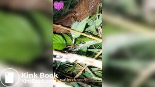 Public outdoor festival shit