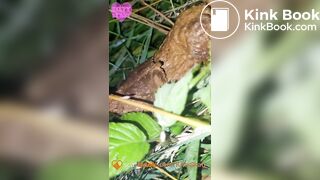 Public outdoor festival shit