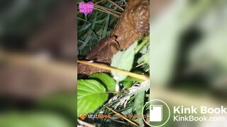 Public outdoor festival shit