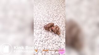 Thick shit on kitchen counter