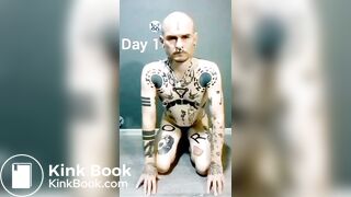 seven days of recycled shit