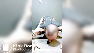 seven days of recycled shit