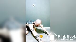 seven days of recycled shit