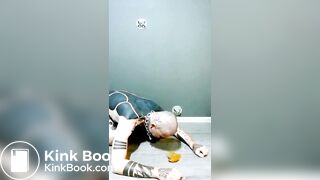 seven days of recycled shit