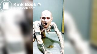 seven days of recycled shit