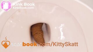 Huge secret toilet EFRO