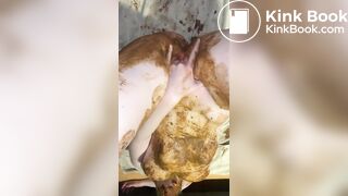 Scat Konstantin 4/5/6