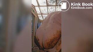 Scat play and sucking shifty dildos