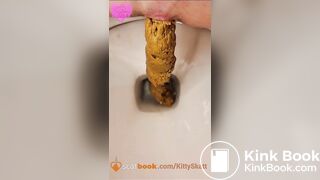 Three thick massive toilet logs