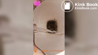 Three thick massive toilet logs