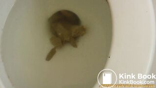 VSteam femdom mistress scat toilet slave