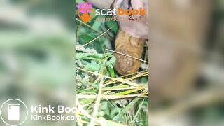 behind the camper vans