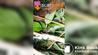 behind the camper vans