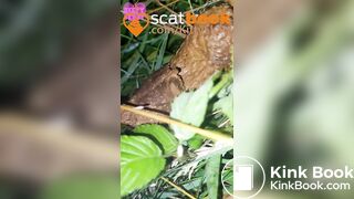 behind the camper vans