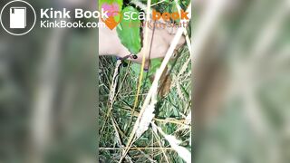 behind the camper vans