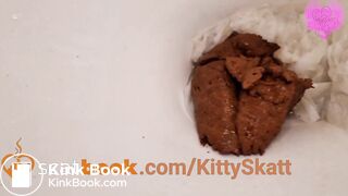 Extreme toilet clogging