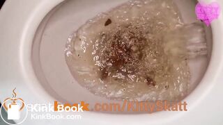 Extreme toilet clogging