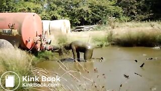 cow shit shower & bath