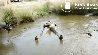 cow shit shower & bath
