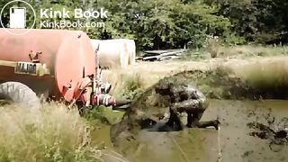 cow shit shower & bath