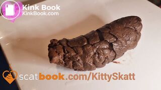 Huge urgent log on toilet lid