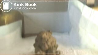 TMistress t femdom toilet slave piss shit scat