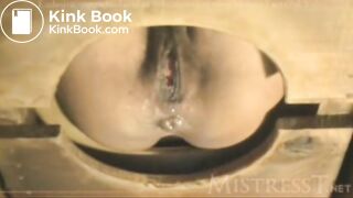 TMistress t femdom toilet slave piss shit scat