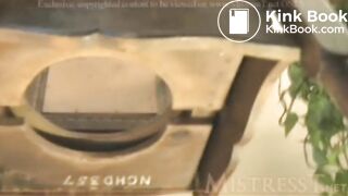 TMistress t femdom toilet slave piss shit scat