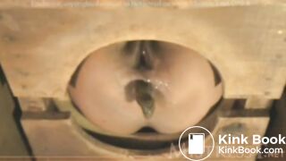 TMistress t femdom toilet slave piss shit scat