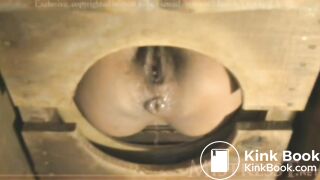 TMistress t femdom toilet slave piss shit scat