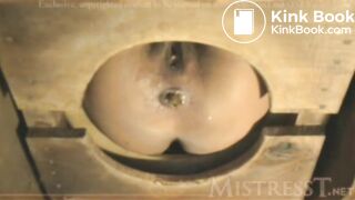 TMistress t femdom toilet slave piss shit scat