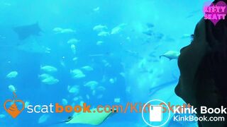 Crowded public toilet shit