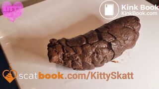 Desperate toilet lid log