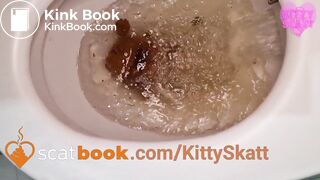 Extreme toilet clogging