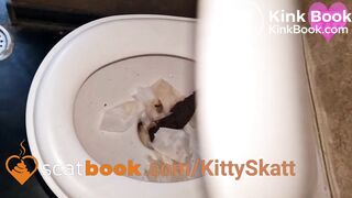 Extreme toilet clogging