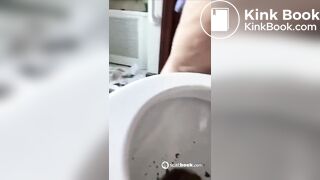 BBW foreign bitch shits in toilet gaping pussy