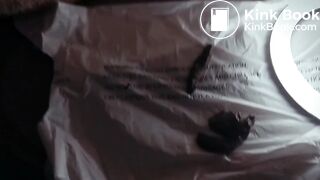 (2022) The Bear Feeds The Pig (Canceled Project)