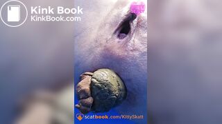 Dixie POV massive shits