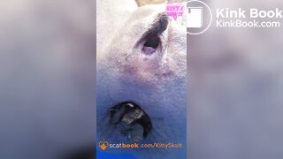 Dixie POV massive shits