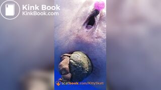 Dixie POV massive shits