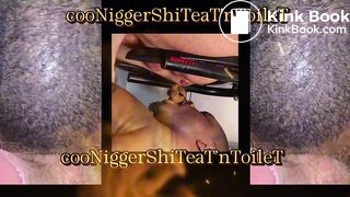 Coon Nigger Shit Eating Toilet