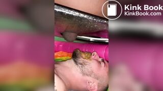 feeding the shit pig