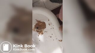 Soo-WEEE!! pig!pig!pig!