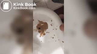 Soo-WEEE!! pig!pig!pig!