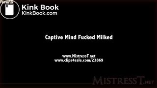 TMistressT femdom mistress scat toilet slave